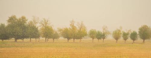 Nature -55