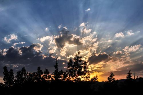 Nature -57